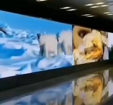 室內LED顯示屏 室內LED顯示屏